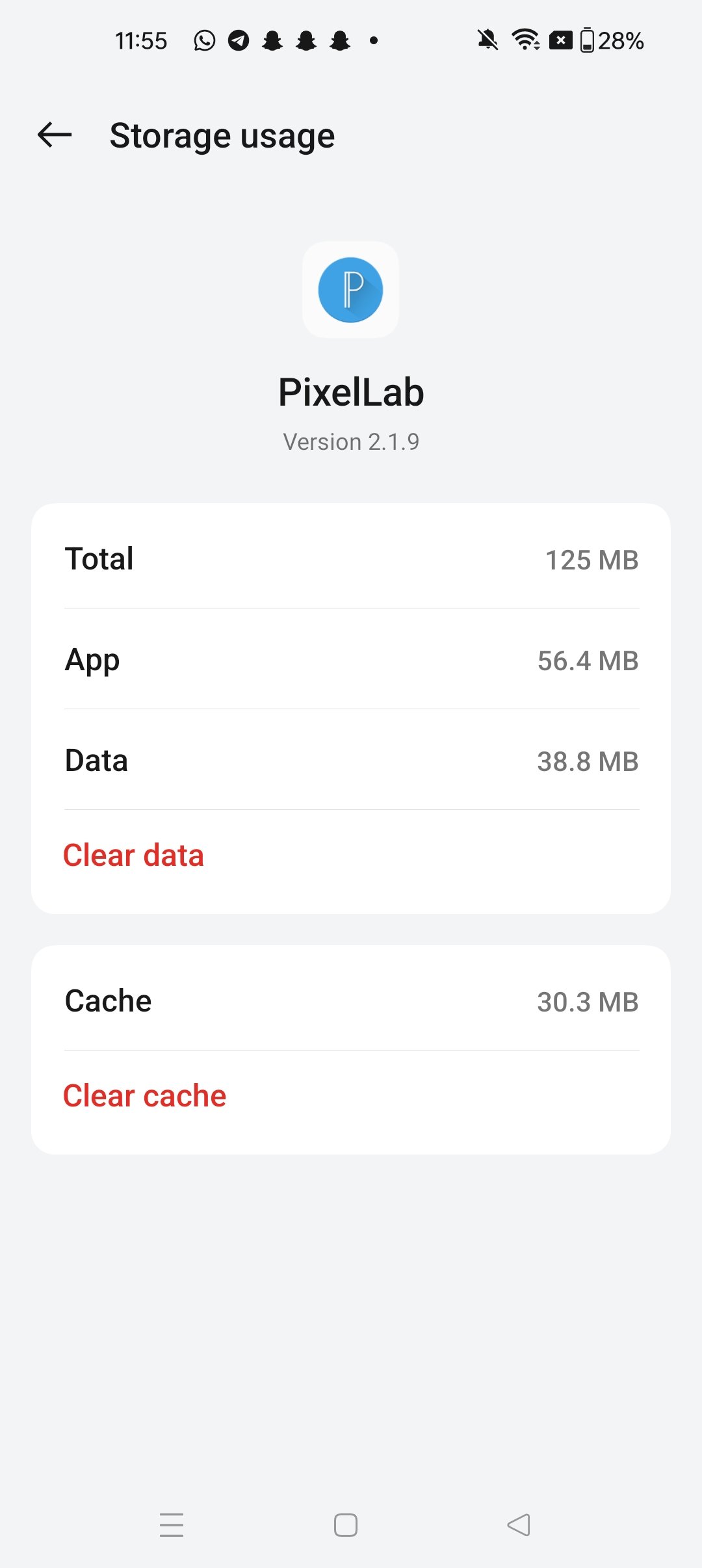 PixelLab app storage usage before clearing cache